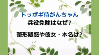 トッポギ侍　がんちゃん